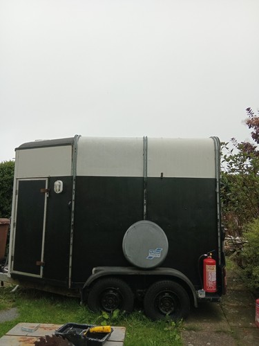 Converted horse box trailer - box,