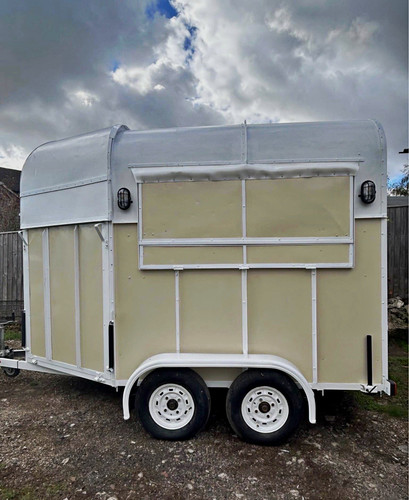 Stunning newly converted horse - stunning,