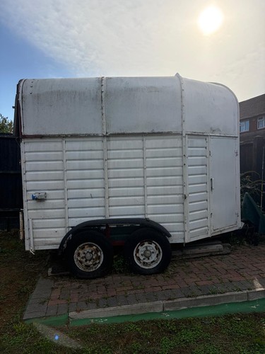 Converted horse box - horse,