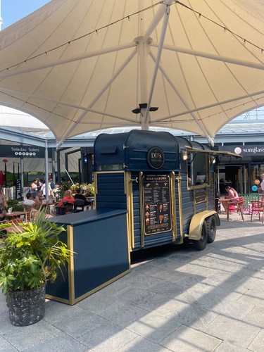 Custom converted horsebox - custom,